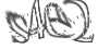 Текст с картинки